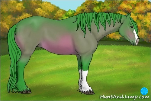 Horse Color:Watercolor Bay 