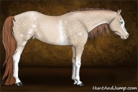 Horse Color:White Spotted Buckskin Pearl 