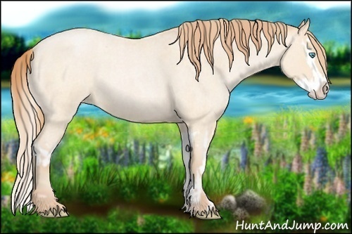 Horse Color:Buckskin Roan Pearl and Buckskin Roan Pearl Splash
