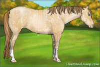 Horse Color:Buckskin Roan Pearl  and Gray Buckskin Roan Pearl 