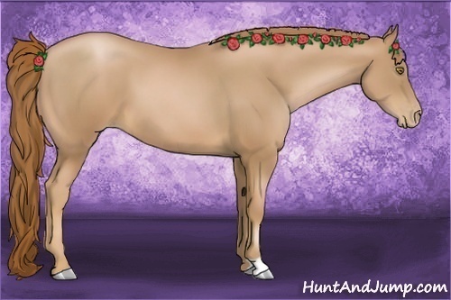 Horse Color:Chestnut Pearl