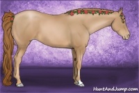 Horse Color:Chestnut Pearl 