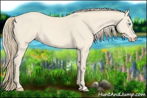 Horse Color:Perlino 