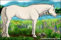 Horse Color:Perlino 