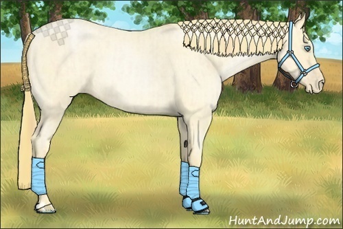 Horse Color:Buckskin Roan Pearl  and Buckskin Roan Pearl 