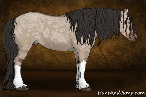 Horse Color:Liver Red Dun Ice Roan 
