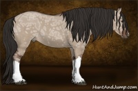 Horse Color:Liver Red Dun Ice Roan