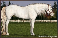 Horse Color:Buckskin Roan Pearl  and Amber Cream Champagne Roan Pearl 