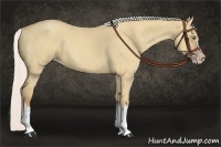 Horse Color:Silver Classic Champagne Roan Dun Splash Frame
