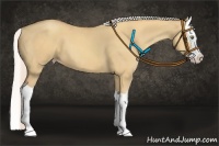 Horse Color:Silver Classic Champagne Dun Splash