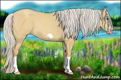 Horse Color:Silver Classic Champagne Dun Splash Frame 