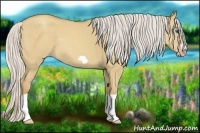 Horse Color:Silver Classic Champagne Dun Splash Frame 