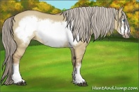 Horse Color:Chocolate Palomino Dun Frame 