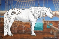 Horse Color:Silver Black Appaloosa