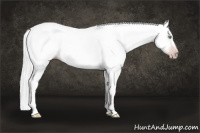Horse Color:Gray Gold Cream Champagne Dun Tobiano Frame Rabicano