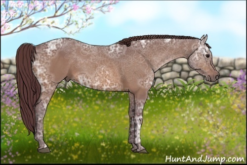 Horse Color:Chocolate Bay Ice