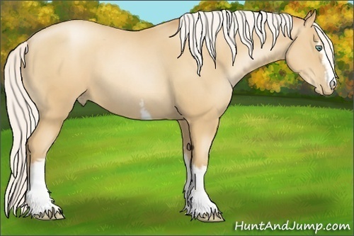 Horse Color:White Spotted Silver Amber Champagne Pearl 