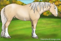 Horse Color:White Spotted Silver Amber Champagne Pearl