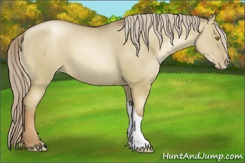 Horse Color:Liver Red Dun Pearl 