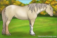 Horse Color:Liver Red Dun Pearl 
