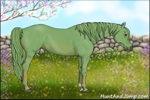Horse Color:Watercolor Chestnut 
