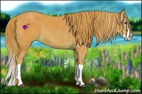 Horse Color:Watercolor Chestnut Splash 