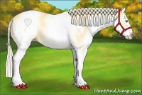 Horse Color:White Spotted Gold Cream Champagne Dun 