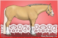Horse Color:Silver Classic Champagne Splash 