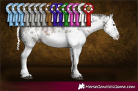 Horse Color:White Spotted Liver Chestnut Mushroom 