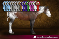 Horse Color:White Spotted Liver Chestnut Mushroom