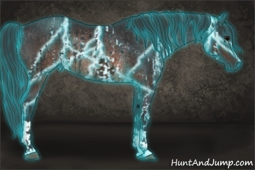 Horse Color:Thunderstruck Brown Rabicano and Thunderstruck Brown Rabicano