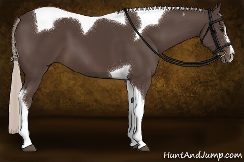 Horse Color:Silver Black Sabino Tobiano 