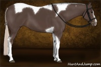 Horse Color:Silver Black Sabino Tobiano