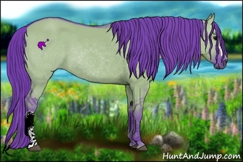 Horse Color:Watercolor Grullo 