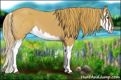Horse Color:Watercolor Chestnut Splash 