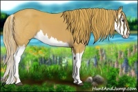 Horse Color:Watercolor Chestnut Splash 