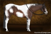 Horse Color:Brown Sabino Tobiano Frame 