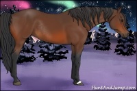 Horse Color:Bay Rabicano 