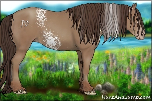 Horse Color:White Spotted Classic Champagne 