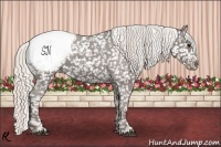 Horse Color:Silver Black Appaloosa