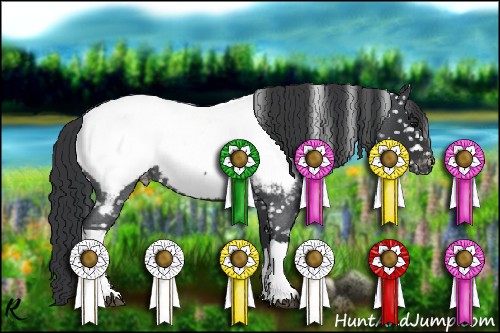 Horse Color:Blue Roan Near Fewspot