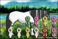 Horse Color:Blue Roan Near Fewspot 