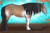 Horse Color:White Spotted Bay Dun