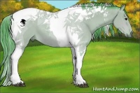 Horse Color:Watercolor Bay Tobiano