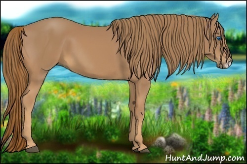 Horse Color:Chestnut Frame