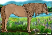 Horse Color:Chestnut Frame