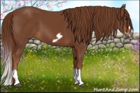 Horse Color:Chestnut Splash Frame