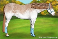 Horse Color:White Spotted Red Roan 