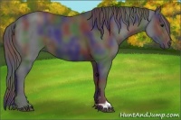 Horse Color:Nacre Black 