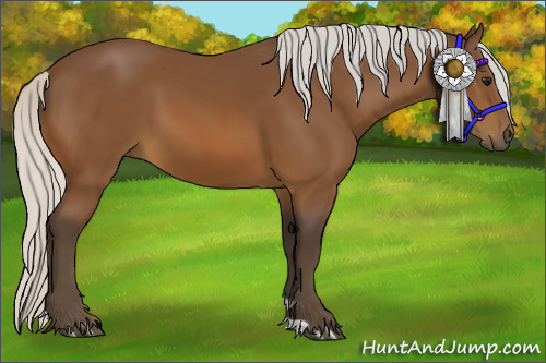 Horse Color:Silver Bay 